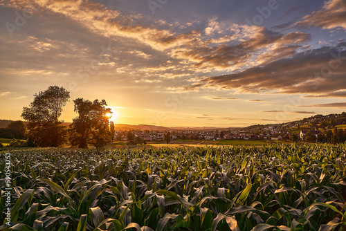 Die untergehende Sonnen taucht das Tal in goldenes Licht. Ein dramatisches Wolkenbild sorgt für eine romantische Sommerstimmung.