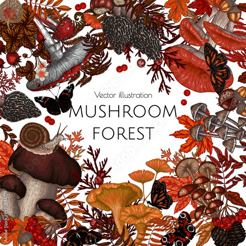 Vector autumn frame with mushrooms, plants, insects, berries. Fly agaric, chanterelles, white mushroom, honey agaric, boletus, morel, russula, snail, strawberry, fern, butterflies