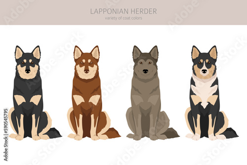 Lapponian Herder clipart. Different poses, coat colors set
