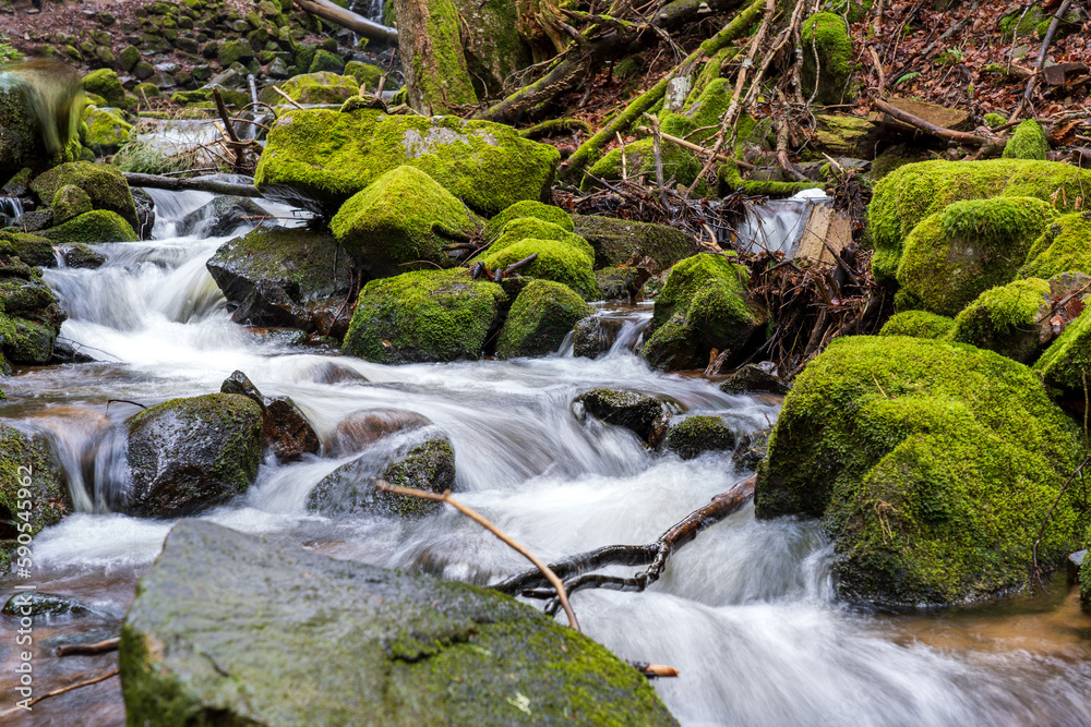 Obraz premium Windbergwasserfall im Schwarzwald
