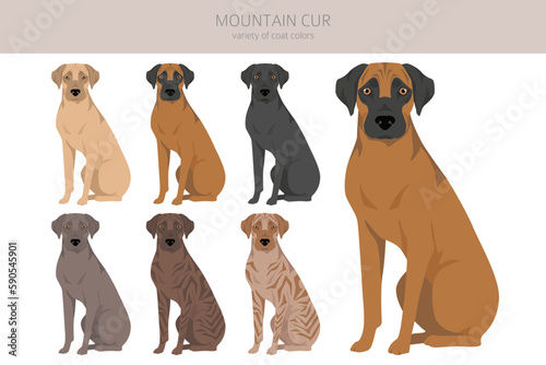 Mountain Cur clipart. Different poses, coat colors set