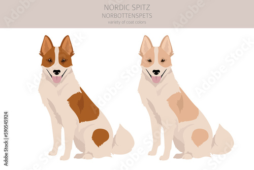 Nordic Spitz clipart. Different poses, coat colors set
