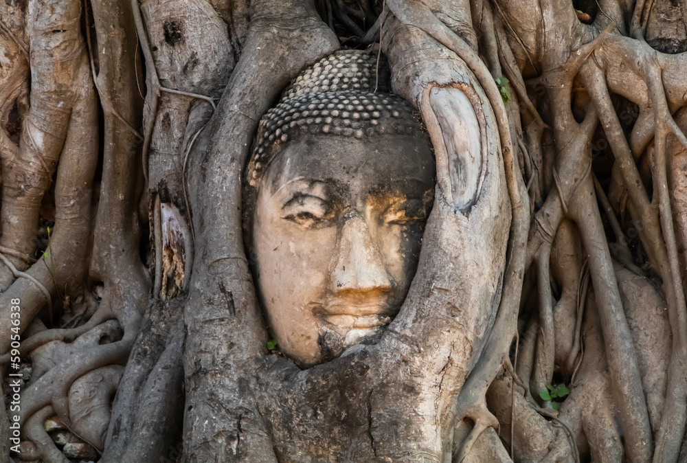 Ancient head of Buddhist statue in tree roots in Ayutthaya, Thailand