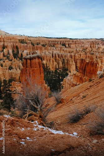 Vertical shot of the stone formation mountain in Bryce Canyon National Park, Utah, USA