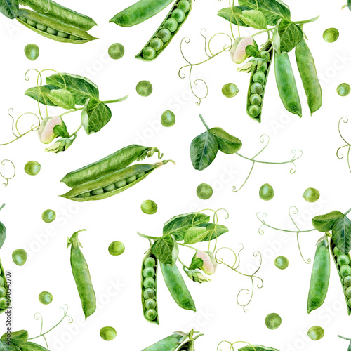 Watercolor seamless pattern with fresh green pees background, closeup, botanical illustration.