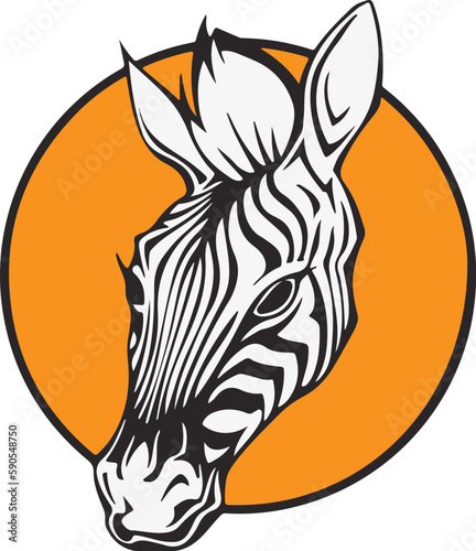 vector colorful zebra design photo