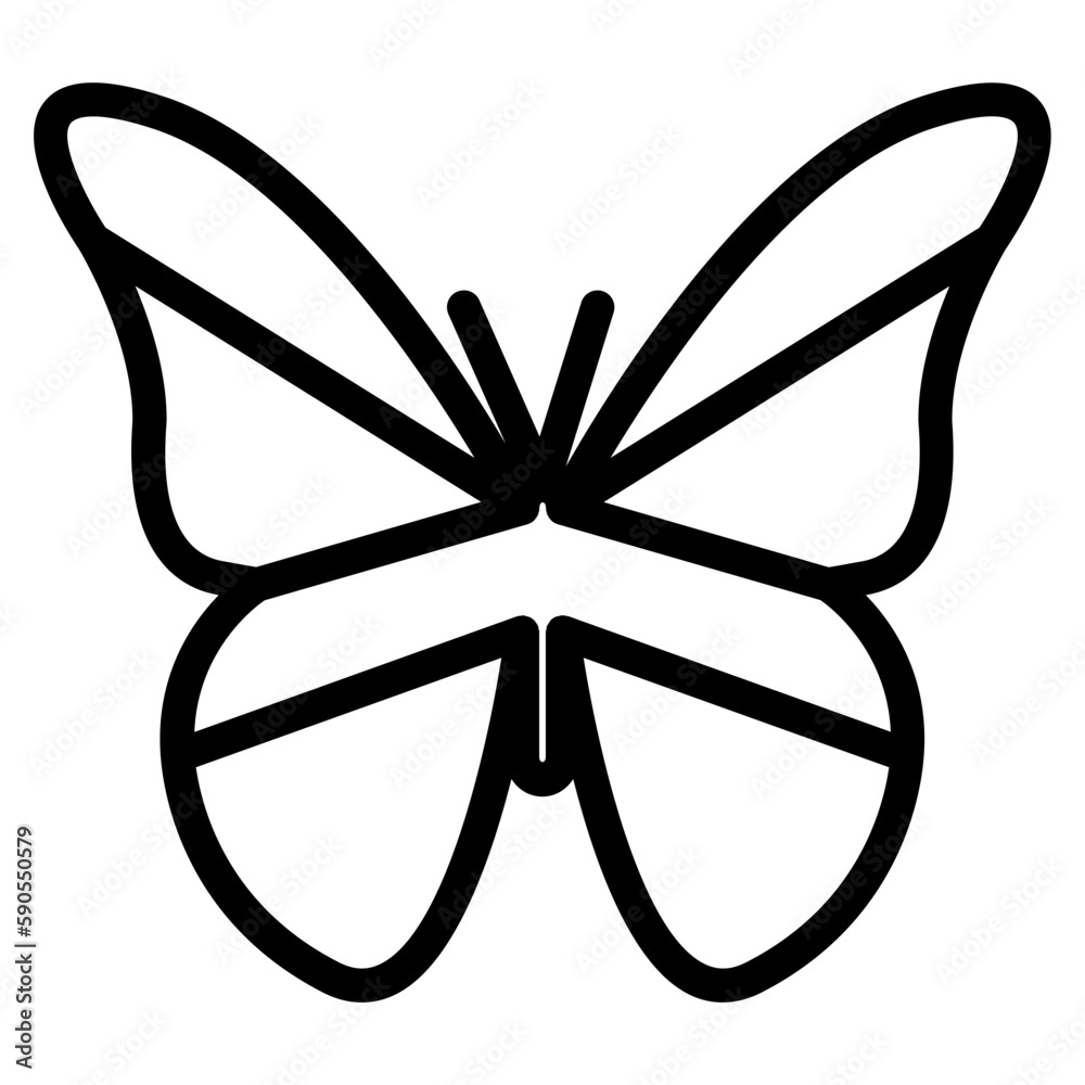 butterfly butterfly
