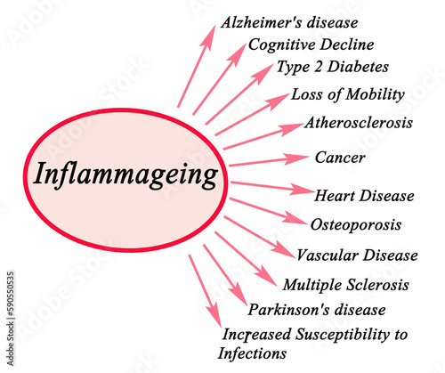 Consequences of Inflammageing