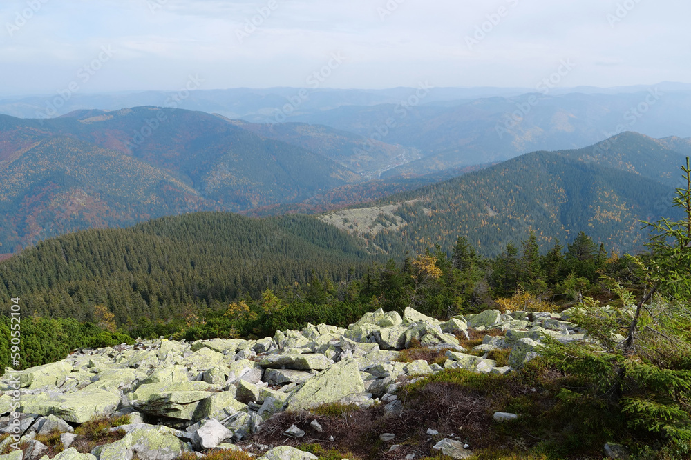 Stones covered with lichen in Gorgany - mountain range in Western Ukraine