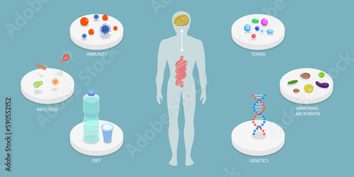 3D Isometric Flat Vector Conceptual Illustration of Microbiome, Gut Brain Connection