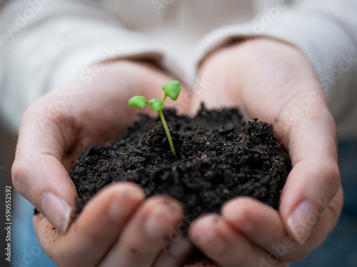 manos con tierra y una planta germinando 