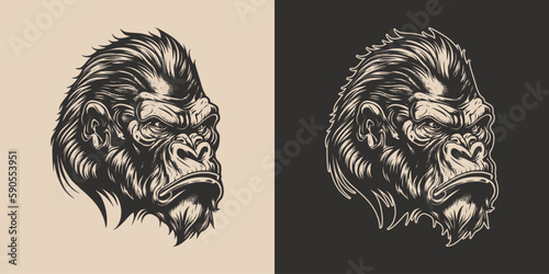 Set of vintage retro angry monkeys. Can be used for logo, emblem, poster, dadge design. Monochrome Graphic Art. Engraving style vector