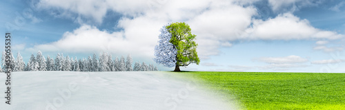 Jahreszeitenwechsel von Winterlandschaft zu Sommerlandschaft