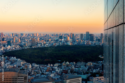 Canvas Print Skyscrapers towering over the cityscape of Nishi-Shinjuku, Tokyo, Japan at sunse