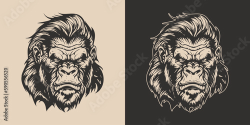 Set of vintage retro angry monkeys. Can be used for logo, emblem, poster, dadge design. Monochrome Graphic Art. Engraving style vector