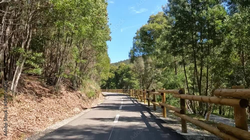 Point of view shot of riding a bicycle in Sever do Vouga, Portugal. Features a wide view of the bike track and the natural scenery. Point of view shot of riding a bicycle in Sever do Vouga, Portugal. Features a wide view of the bike track and the natural scenery.