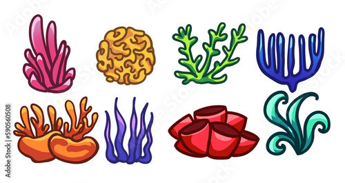 illustration of a set of Coral