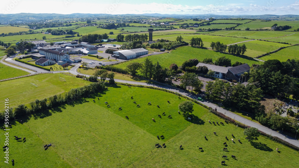 A cows on a field on a clear summer day, top view. Buildings among agricultural fields in West Cork. The countryside in Ireland. Green grass field
