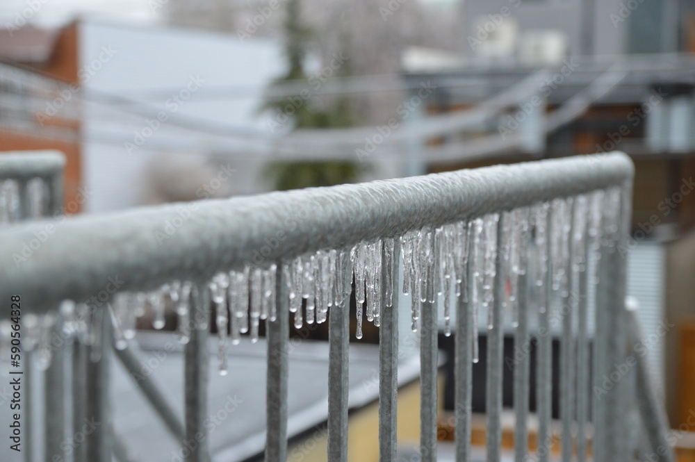 Icicle on fence Icicle on fence