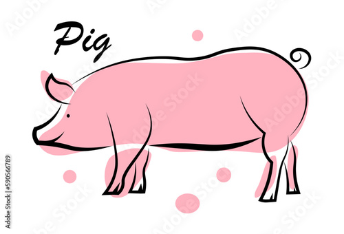 Pink pig on a white background.