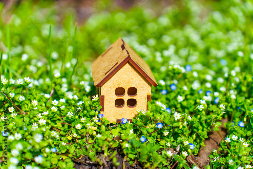 Springtime Bliss: Miniature House on a Spring Meadow