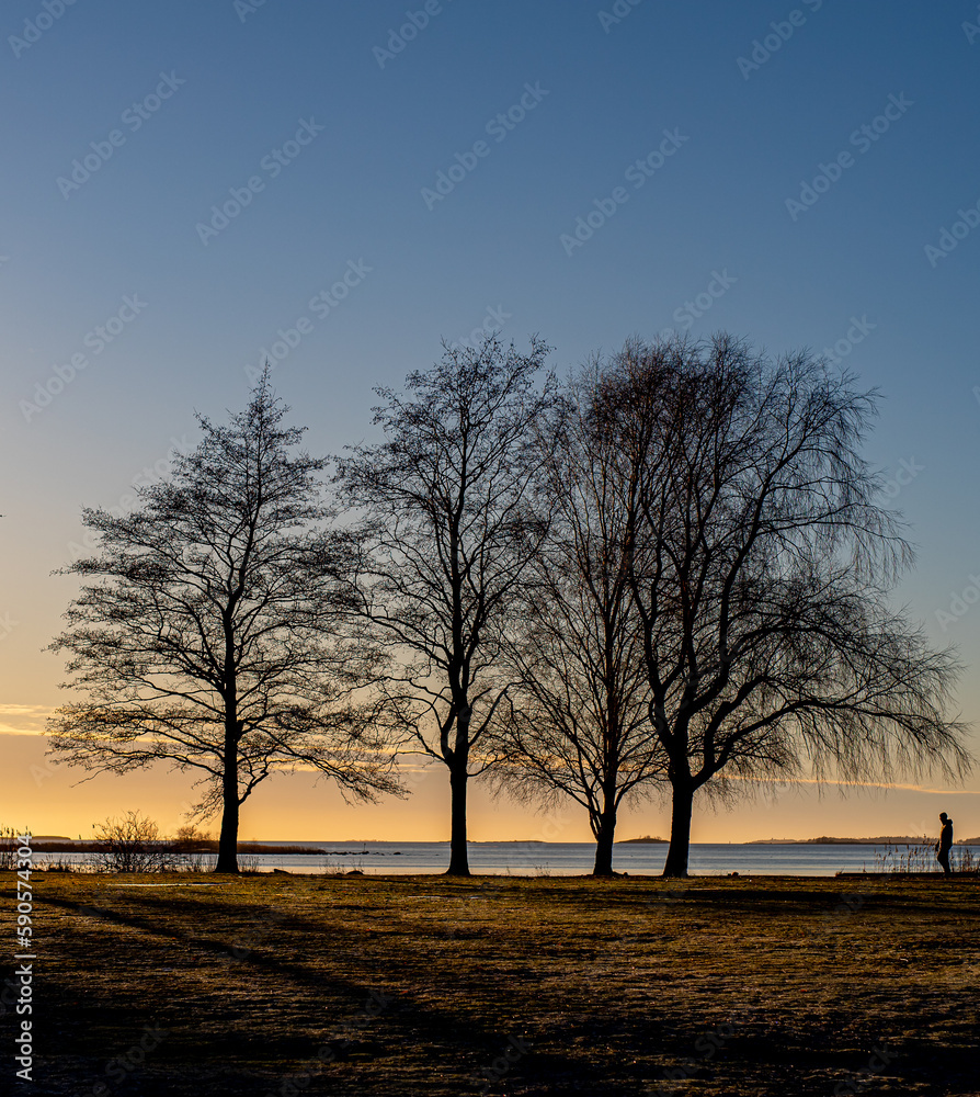 Naklejka premium sunset in the winter