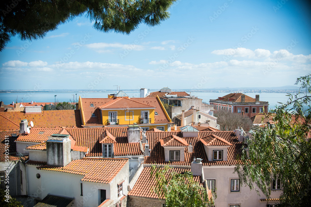 Obraz premium Lindas casas desde la altura en Lisboa Portugal