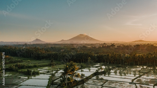 Bali Jungle view drone with ricefields  photo