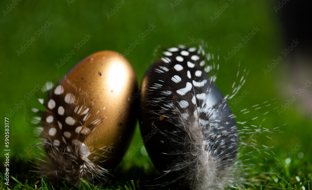easter egg in a nest easter egg in a nest