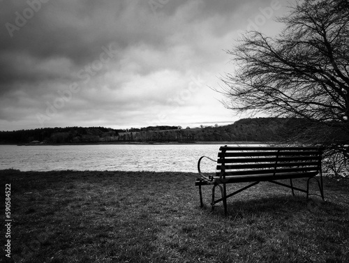 bench in the fog