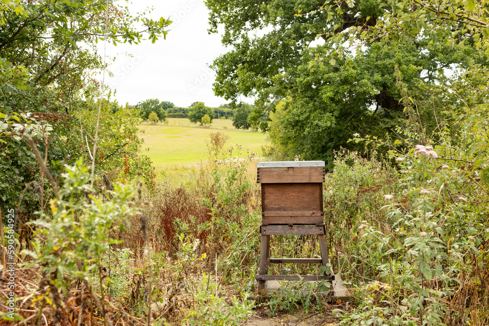 A beehive from a tree stands on an apiary. The houses of the bees are placed on the green grass in the mountains. Private enterprise for beekeeping. Honey healthy food products. A beehive from a tree stands on an apiary. The houses of the bees are placed on the green grass in the mountains. Private enterprise for beekeeping. Honey healthy food products.