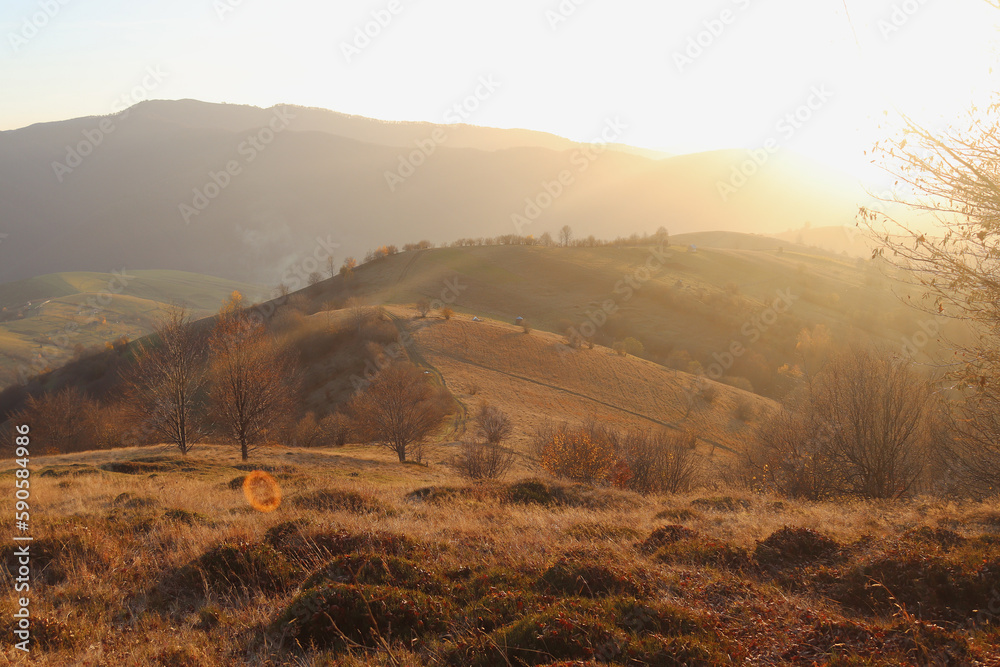 Sunset at the foot of the mountains. Sunny autumn meadow in Ukrainian Carpatian mountains