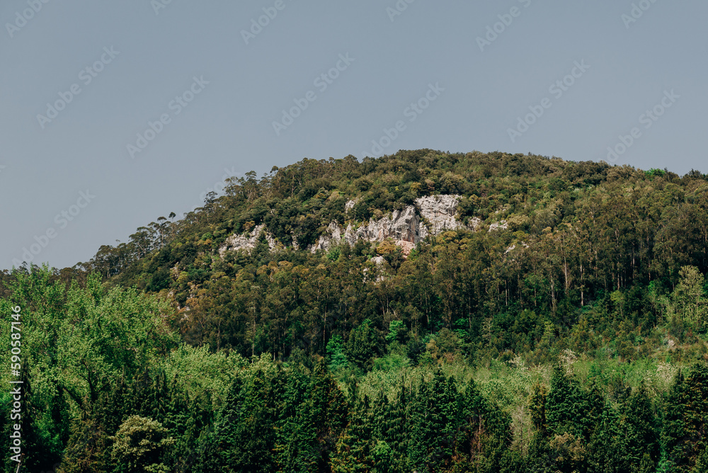 A view of a high mountain under a blue sky. Landscape with rocky peak and coniferous forest A view of a high mountain under a blue sky. Landscape with rocky peak and coniferous forest