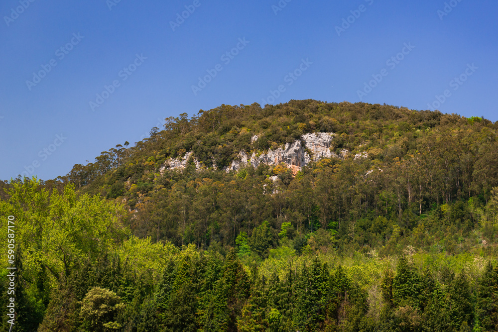 A view of a high mountain under a blue sky. Landscape with rocky peak and coniferous forest A view of a high mountain under a blue sky. Landscape with rocky peak and coniferous forest