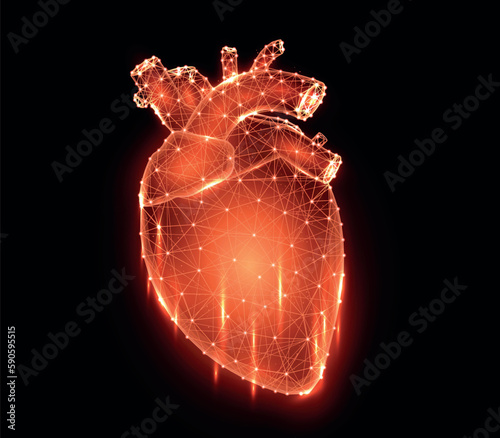 Polygonal vector illustration of a red heart on a black background, human internal organ. Medical cardiology banner, template or background.