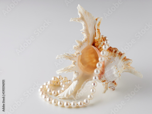 incredibly beautiful seashell on a white background close-up with a pearl necklace