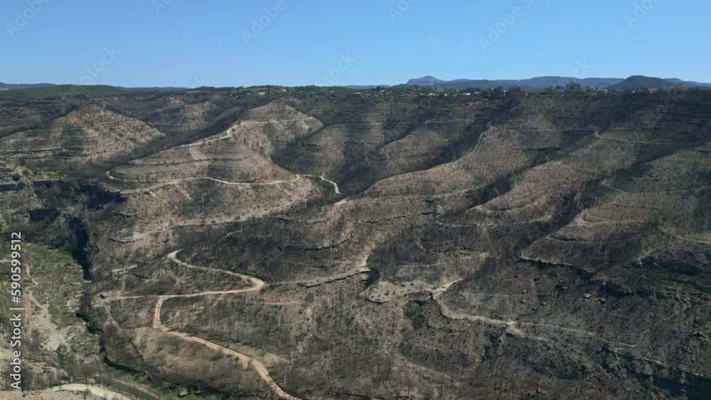 Bosque quemado con las montañas de montserrat al fondo en un dia soleado, con caminos que atraviesan