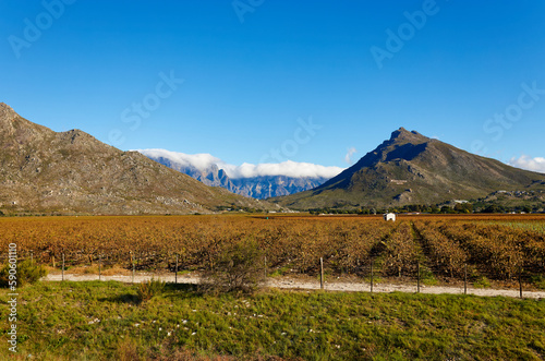 A view over agricultural fields towards cloud topped mountains in the distance, near Worcester, South Africa.