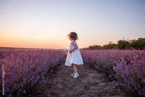 Fototapeta Naklejka Na Ścianę i Meble -  Little girl in flower dress runs across field of purple lavender among the rows at sunset. Toddler child have fun on walk in the countryside. Allergy concept. Natural products, perfumery. Copy space