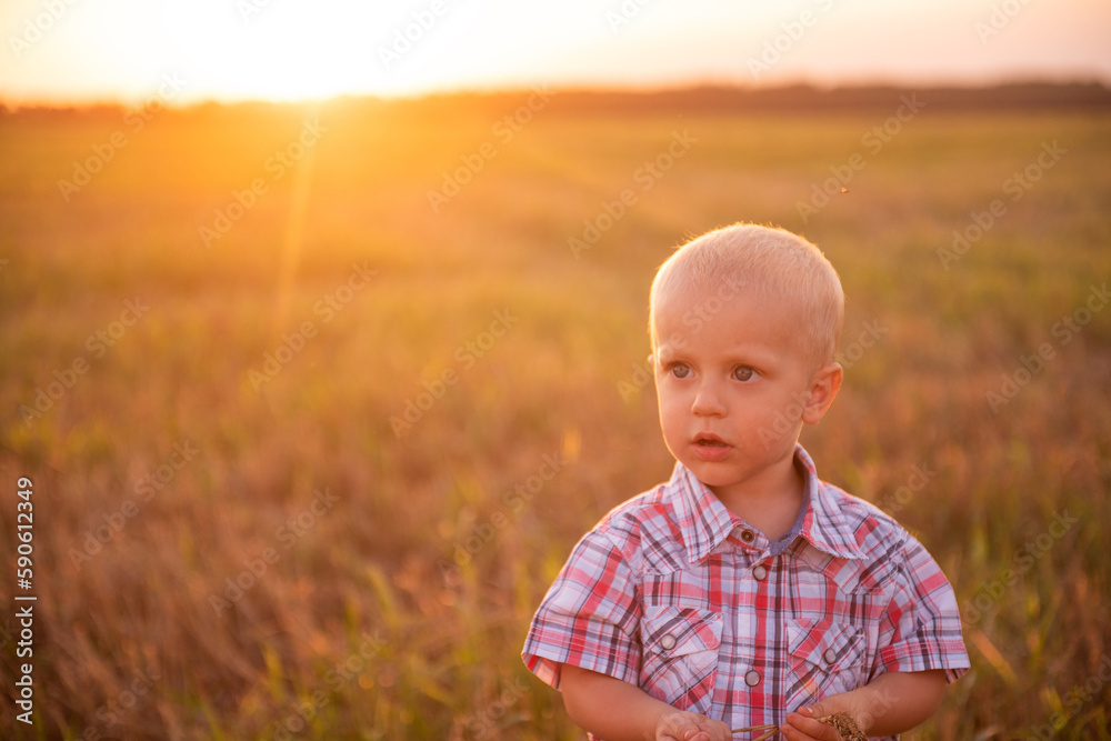 Close up portrait of little boy in plaid shirt. Todder with emotions eats spikelet of wheat in mowing field in rays of sunset sun. Carefree childhood in rural areas. Concept of freedom and happiness Close up portrait of little boy in plaid shirt. Todder with emotions eats spikelet of wheat in mowing field in rays of sunset sun. Carefree childhood in rural areas. Concept of freedom and happiness