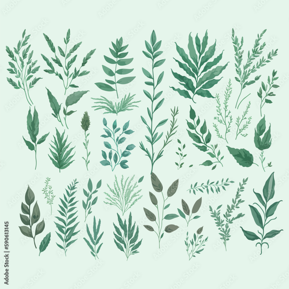 Watercolor botanical leaf vector. set of green leaves.