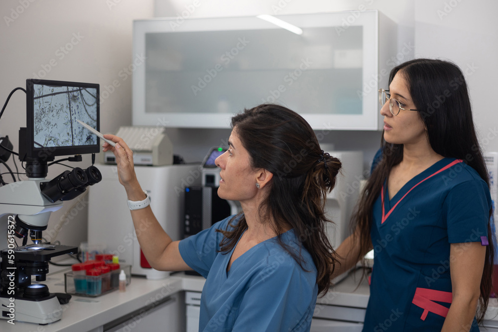 Fototapeta premium female veterinarian analyzing image on the digital microscope screen.