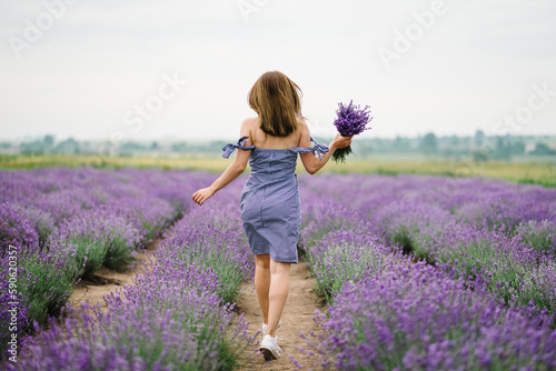 Fototapeta Naklejka Na Ścianę i Meble -  A woman in a dress walks in a summer lavender field at sunset. Girl holding a bouquet of purple lavender flowers. Female on a background of lavender. France, Provence. Back view.