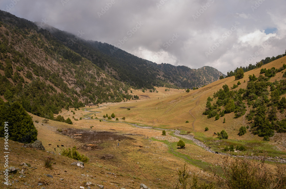 View of a mountain valley with a river and pastures in the Kyrgyz mountains.