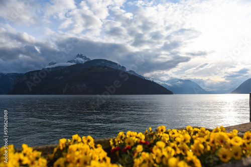 Vierwaldst  ttersee with swiss alps in the background