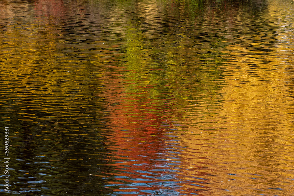Abstract fall composition featuring the reflection of fall foliage on a lake- large background and backdrop copy space