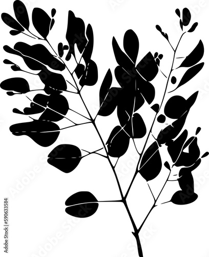 Eucalyptus | Black and White Vector illustration