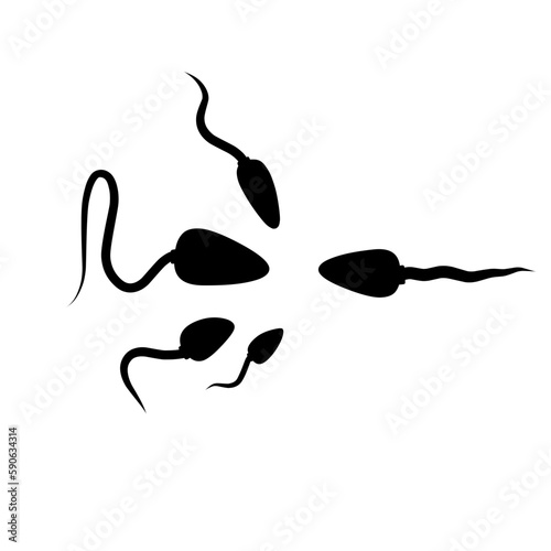 Sperm Reproduuction Vector