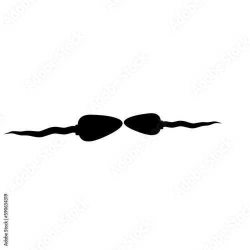 Sperm Reproduuction Vector