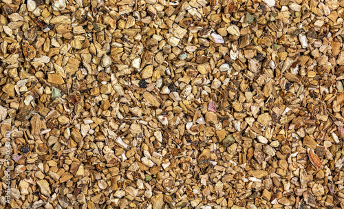 Obraz na plátně Background of organic dry calamus root